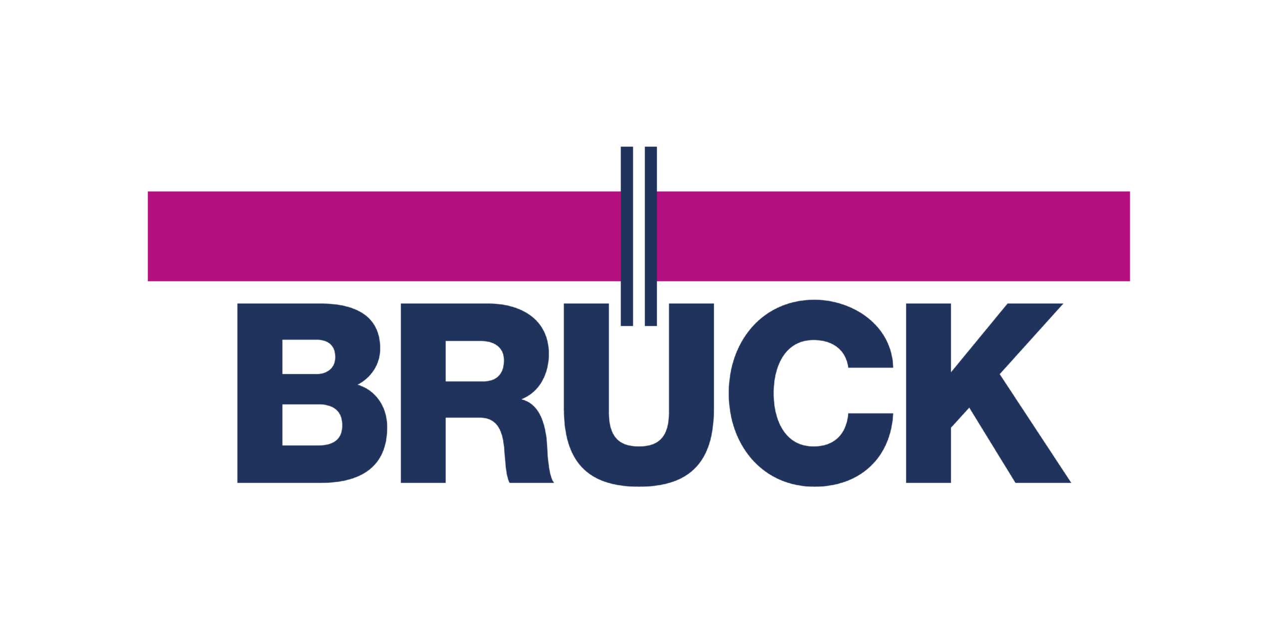 Bruck Forgings